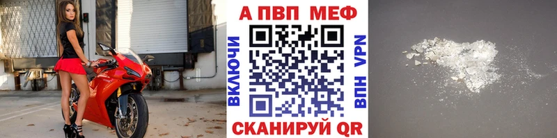 Купить Советск A PVP СК