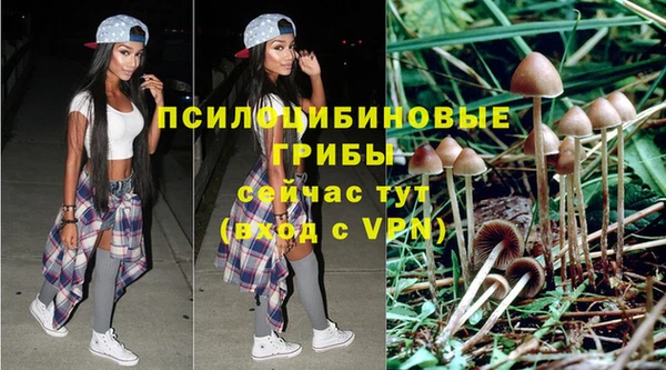 мдпв Надым